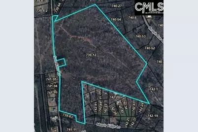 Tbd Sam Koon Road #3, Little Mountain, SC 29075 - Photo 9