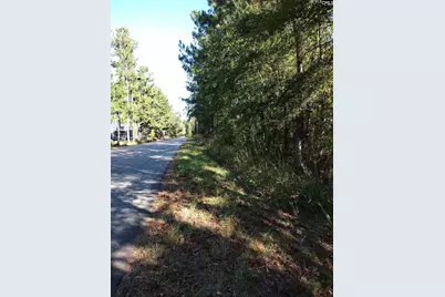 Tbd Sam Koon Road #3, Little Mountain, SC 29075 - Photo 5