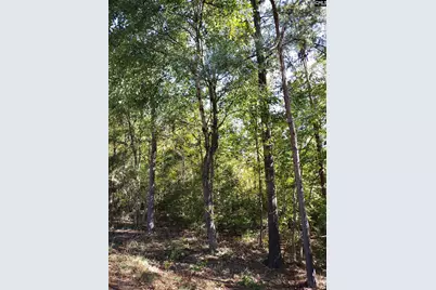 Tbd Sam Koon Road #3, Little Mountain, SC 29075 - Photo 7