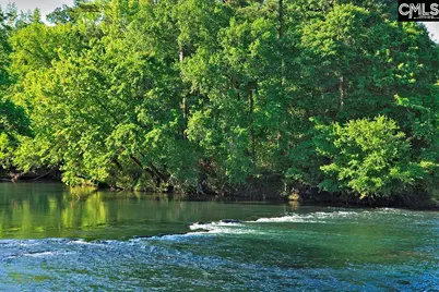 534 Dreher Locks Road, Lexington, SC 29072 - Photo 19