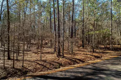 Little Saluda Lane #Lot 089, Batesburg, SC 29006 - Photo 1