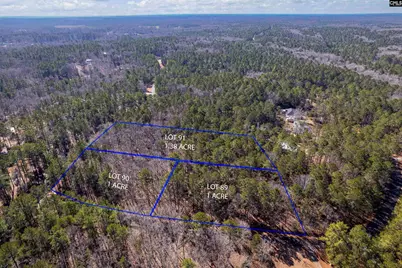 1115 Scooter Bridge Road #Lot 090, Batesburg, SC 29006 - Photo 5