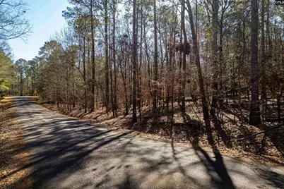 1115 Scooter Bridge Road #Lot 090, Batesburg, SC 29006 - Photo 3