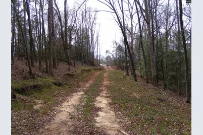 0 Great Circle Drive, Saint Matthews, SC 29135 - Photo 13