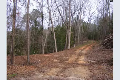 0 Great Circle Drive, Saint Matthews, SC 29135 - Photo 5