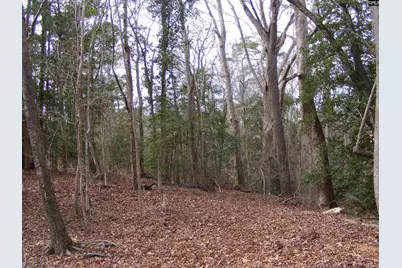 0 Great Circle Drive, Saint Matthews, SC 29135 - Photo 7