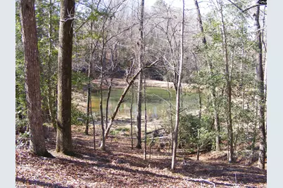 0 Great Circle Drive, Saint Matthews, SC 29135 - Photo 1