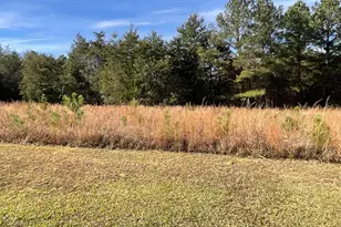 3221 Leeds Rd, Chester, SC 29706 - Photo 17