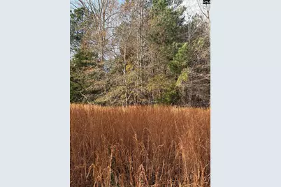 3221 Leeds Road, Chester, SC 29706 - Photo 65