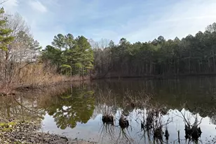 3221 Leeds Rd, Chester, SC 29706 - Photo 31