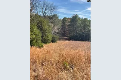 3221 Leeds Road, Chester, SC 29706 - Photo 11