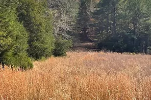 3221 Leeds Rd, Chester, SC 29706 - Photo 11