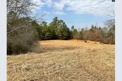 3221 Leeds Road, Chester, SC 29706 - Photo 21