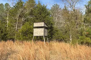 3221 Leeds Rd, Chester, SC 29706 - Photo 67