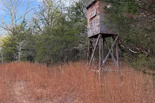 3221 Leeds Rd, Chester, SC 29706 - Photo 69