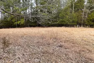 3221 Leeds Rd, Chester, SC 29706 - Photo 25