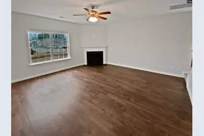 873 Sunseeker Drive, Chapin, SC 29036 - Photo 3