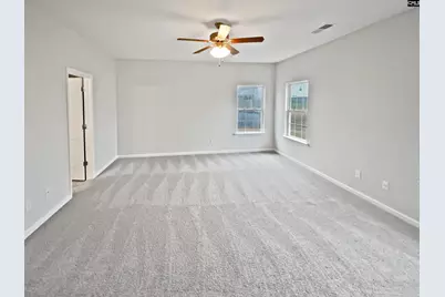 873 Sunseeker Drive, Chapin, SC 29036 - Photo 11