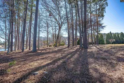 259 Taylors Cove Road, Lexington, SC 29072 - Photo 15
