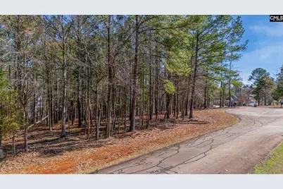 Lookout Point #Lot 13, Prosperity, SC 29127 - Photo 9