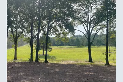 909 McCord Ferry Road, Lugoff, SC 29078 - Photo 3