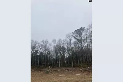 W/S Cranley Road #16, Columbia, SC 29229 - Photo 5