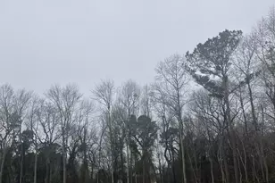 W/S Cranley Rd, Columbia, SC 29229 - Photo 5