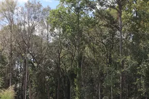 W/S Cranley Rd, Columbia, SC 29229 - Photo 9