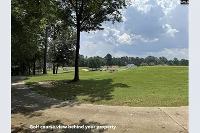 1240 Coogler Crossing Drive, Blythewood, SC 29016 - Photo 3