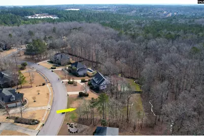 228 Winding Oak Way, Blythewood, SC 29016 - Photo 11