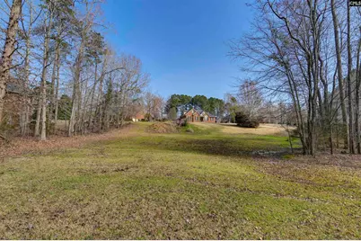 228 Winding Oak Way, Blythewood, SC 29016 - Photo 7
