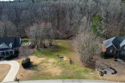 228 Winding Oak Way, Blythewood, SC 29016 - Photo 9