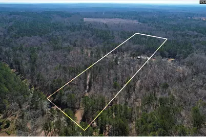 1241 Cardinal Drive, Blythewood, SC 29016 - Photo 73