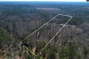 1241 Cardinal Dr, Blythewood, SC 29016 - Photo 73