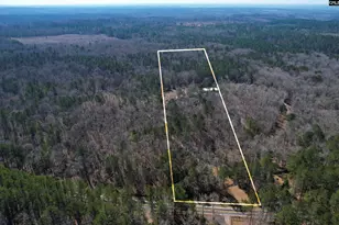 1241 Cardinal Dr, Blythewood, SC 29016 - Photo 71