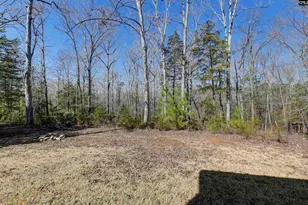 1241 Cardinal Dr, Blythewood, SC 29016 - Photo 55