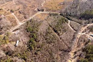 236 Placid Cir, Batesburg, SC 29070 - Photo 17