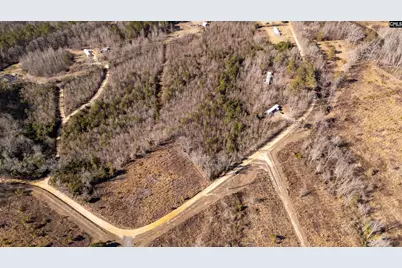 236 Placid Circle, Batesburg, SC 29070 - Photo 29