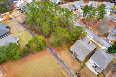 113 Playground Road, Blythewood, SC 29016 - Photo 5
