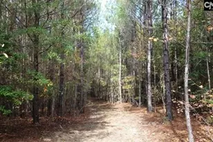 Tract 6 Buzhardt Rd, Pomaria, SC 29126 - Photo 3