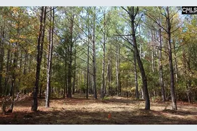 Tract 6 Buzhardt Road #Tract 6, Pomaria, SC 29126 - Photo 5
