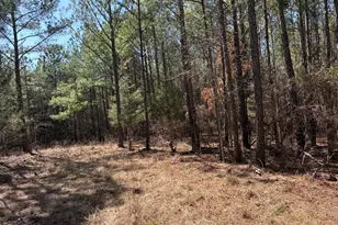 Tract 6 Buzhardt Rd, Pomaria, SC 29126 - Photo 7