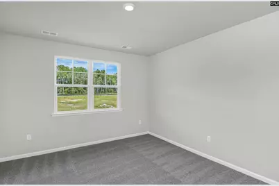 336 Babcock Way, Gilbert, SC 29054 - Photo 19