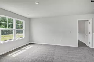 336 Babcock Wy, Gilbert, SC 29054 - Photo 35