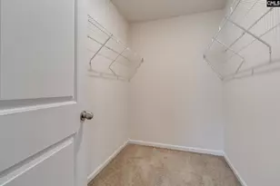 1133 Grey Pine Dr, Blythewood, SC 29016 - Photo 23