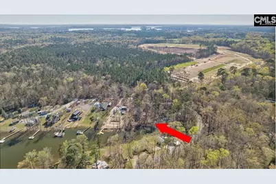 342 Green Garden Drive, Chapin, SC 29036 - Photo 1