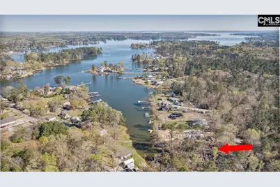 342 Green Garden Drive, Chapin, SC 29036 - Photo 9