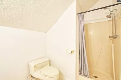 234 Dutch Drive, Irmo, SC 29063 - Photo 45