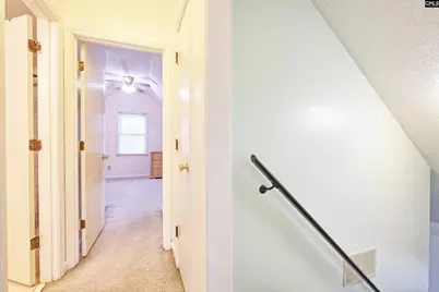 234 Dutch Drive, Irmo, SC 29063 - Photo 43