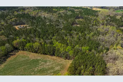 226 Granny Hill Road, Prosperity, SC 29127 - Photo 31